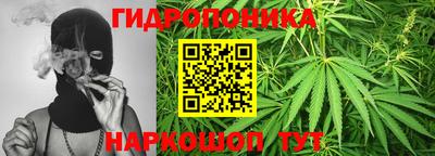 каннабис Моздок