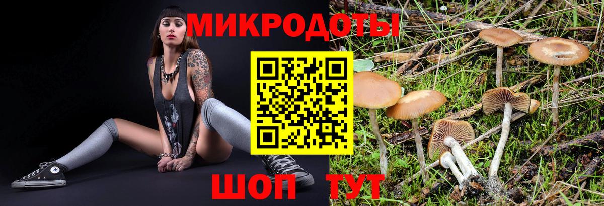 Псилоцибиновые грибы Cubensis Усть-Илимск