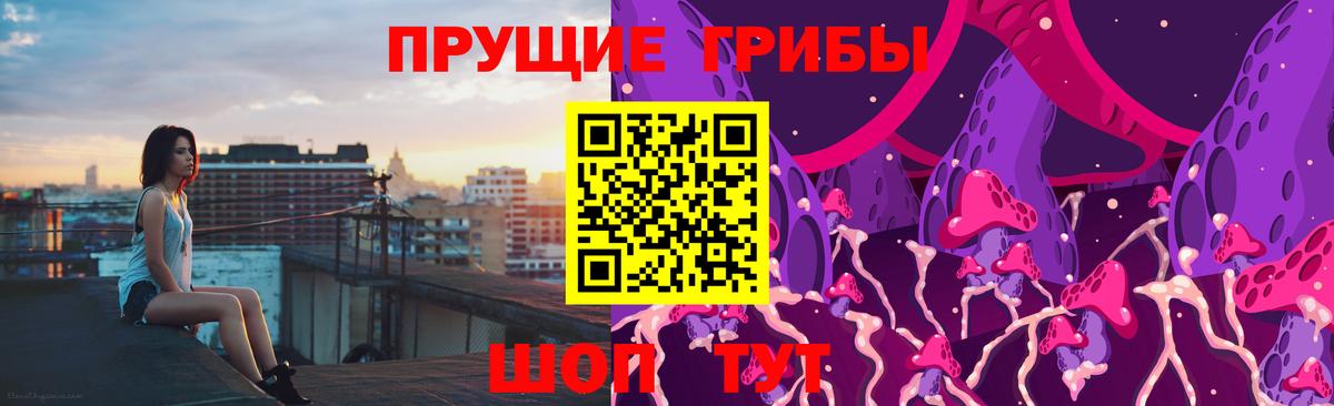 Галлюциногенные грибы прущие грибы  Вход с VPN  Усть-Илимск 